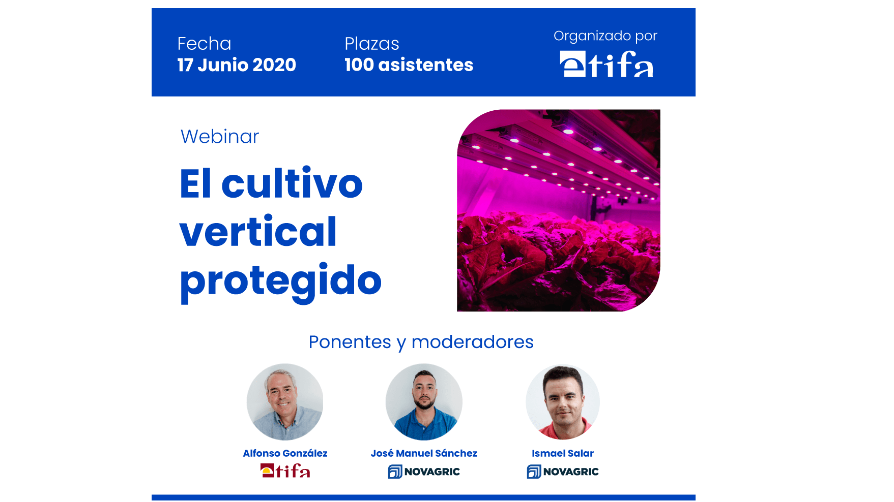 cultivo vertical protegido|Primer webinar sobre Vertical Farming en España|cultivo vertical|cultivo vertical|cultivo vertical protegido